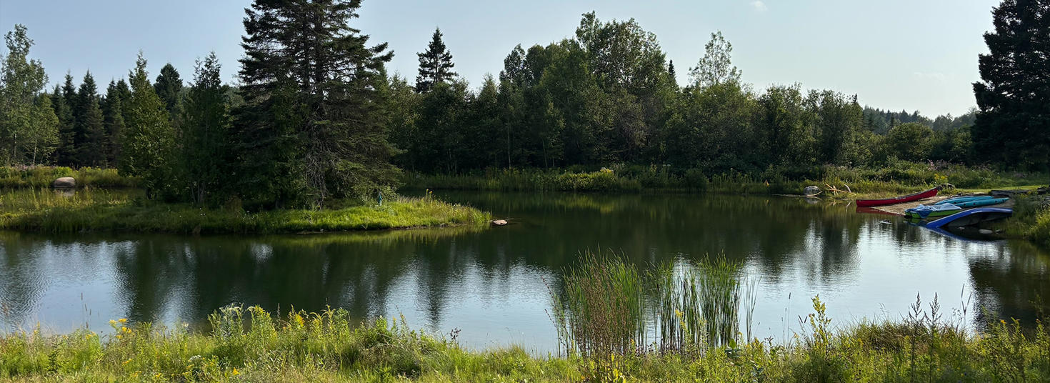 Paysage avec canoes