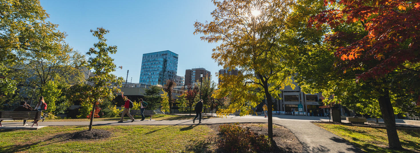Parc devant Fauteux à l'automne