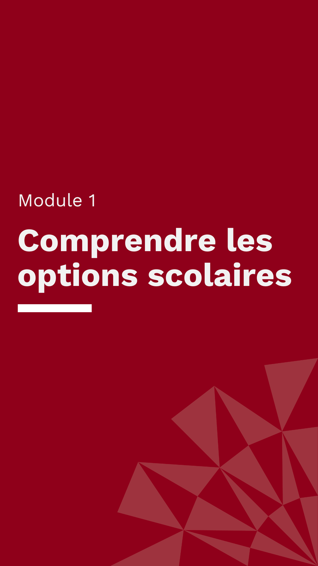 Comprendre les options scolaires
