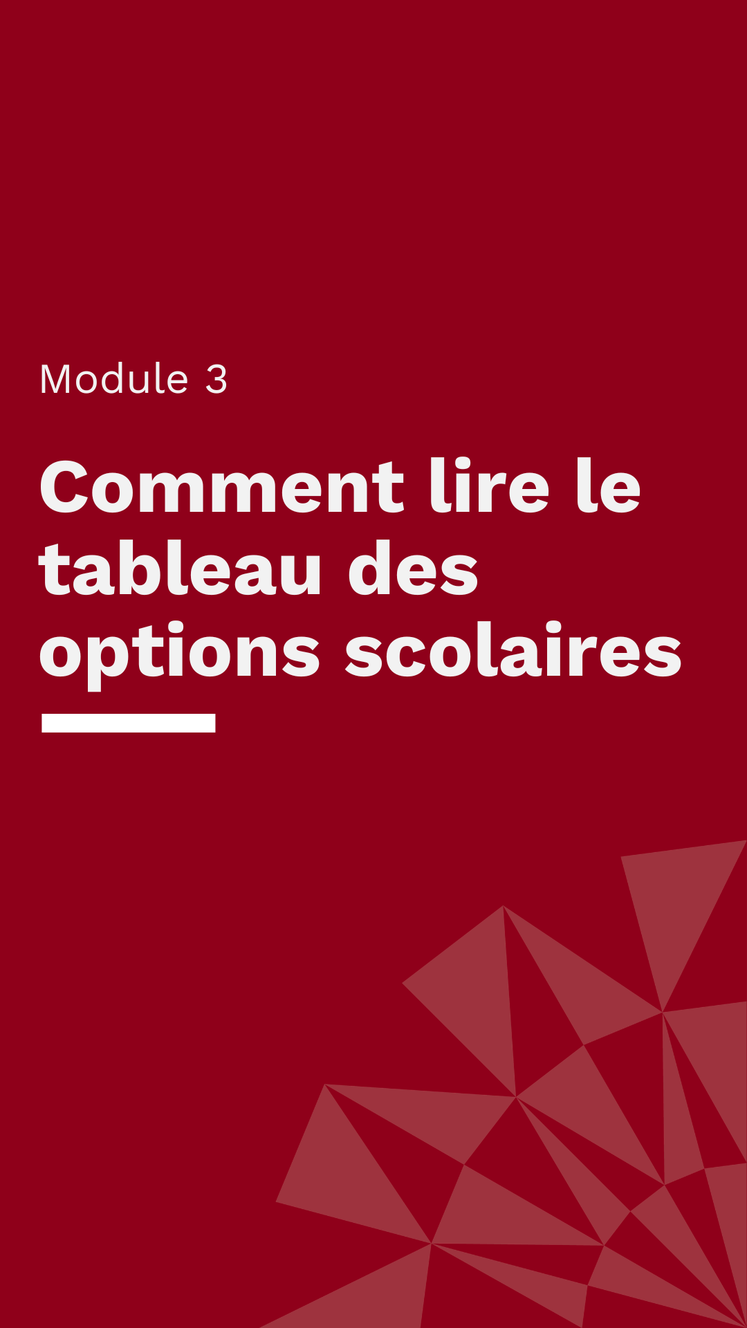 Comment lire le tableau des options scolaires