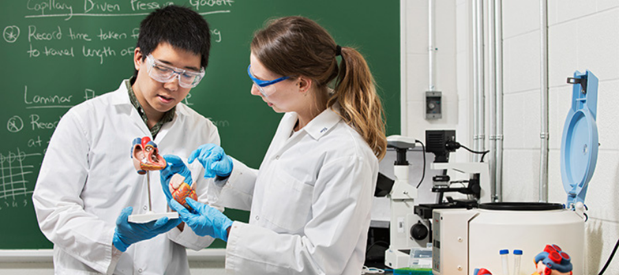 Deux étudiants dans un laboratoire d'ingénierie biomédicale.