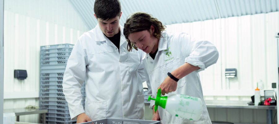 Une étudiante et un étudiant dans la laboratoire.