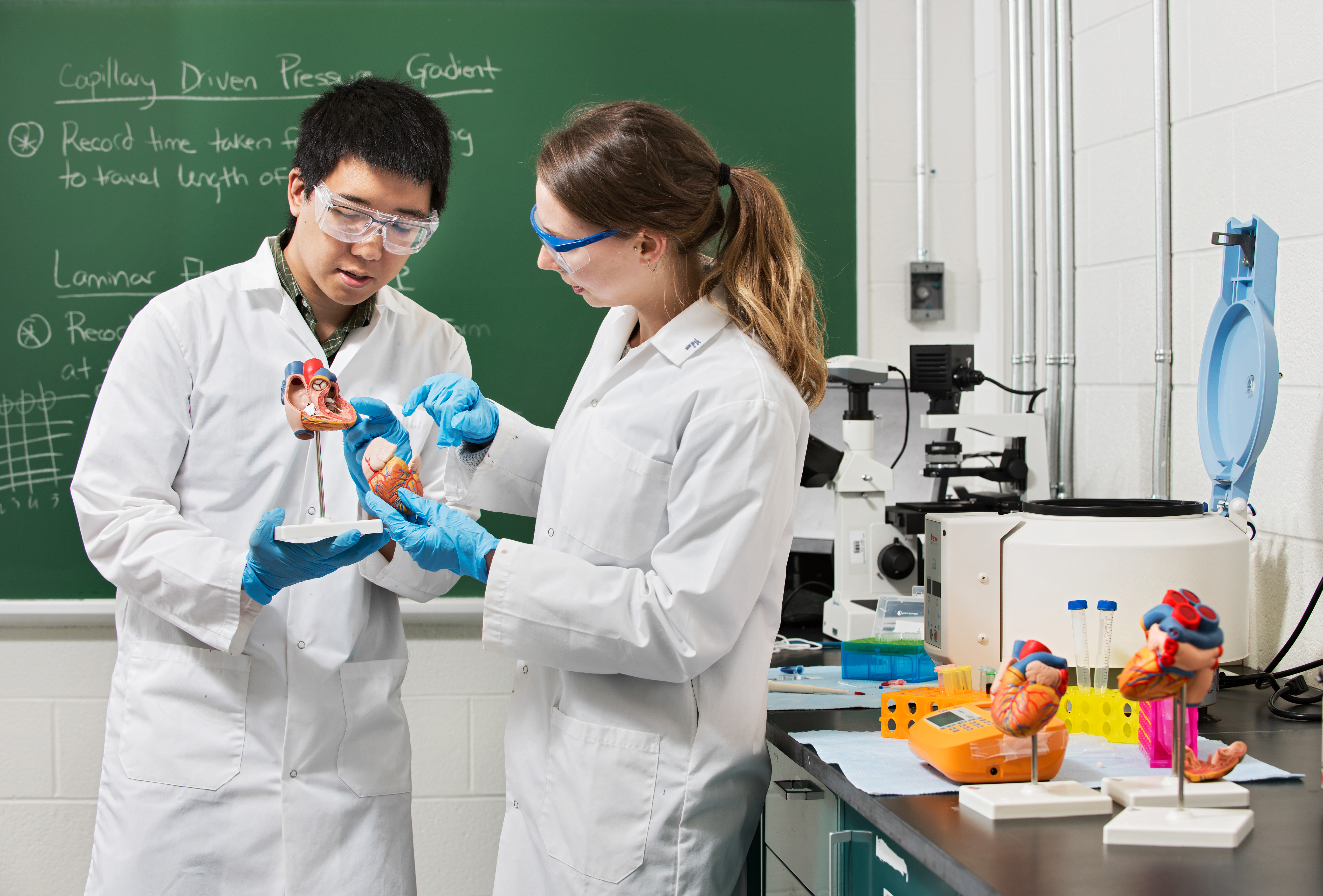 Deux étudiants travaillant dans un laboratoire.
