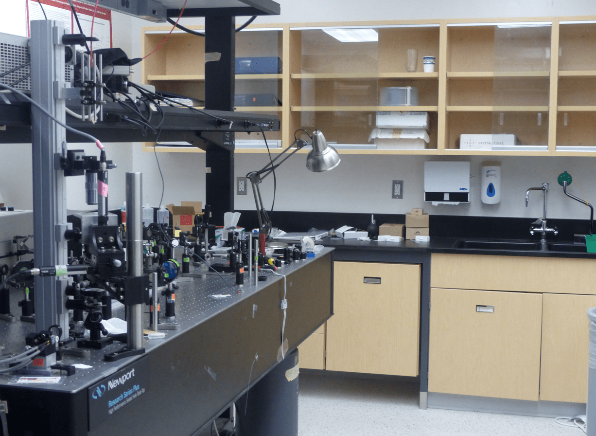 Nonlinear microscopy and endoscopy lab