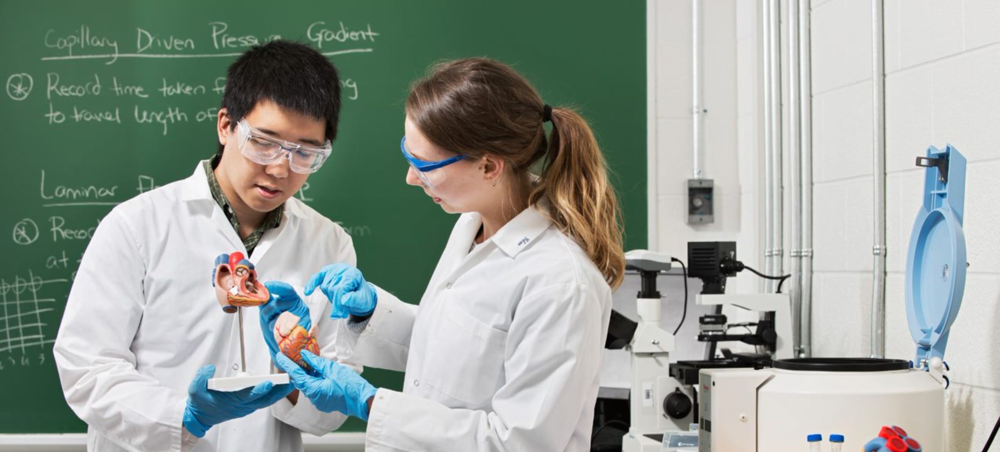 Deux étudiants dans un laboratoire d'ingénierie biomédicale.