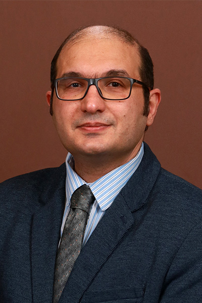 Professeur Mehrdad Sabetzadeh