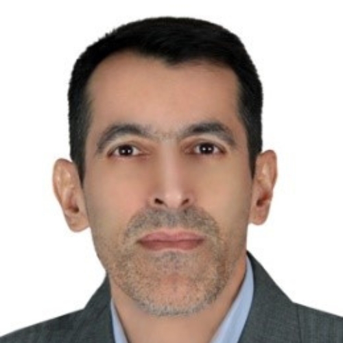 Saeid Seydnejad.