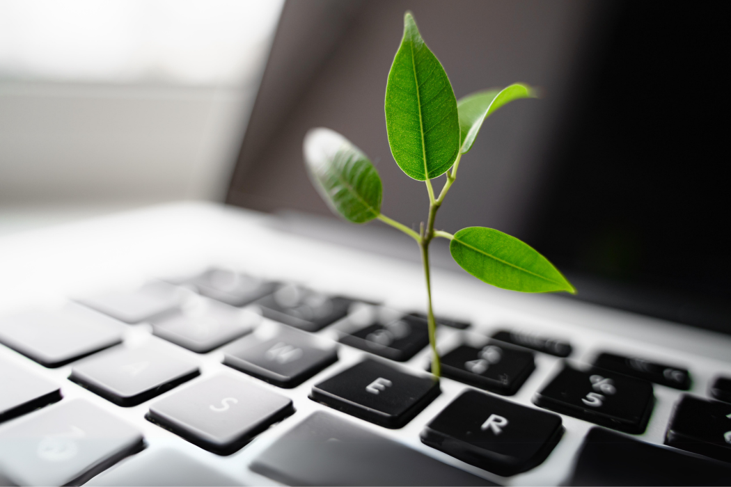 Plante poussant sur un clavier d'ordinateur