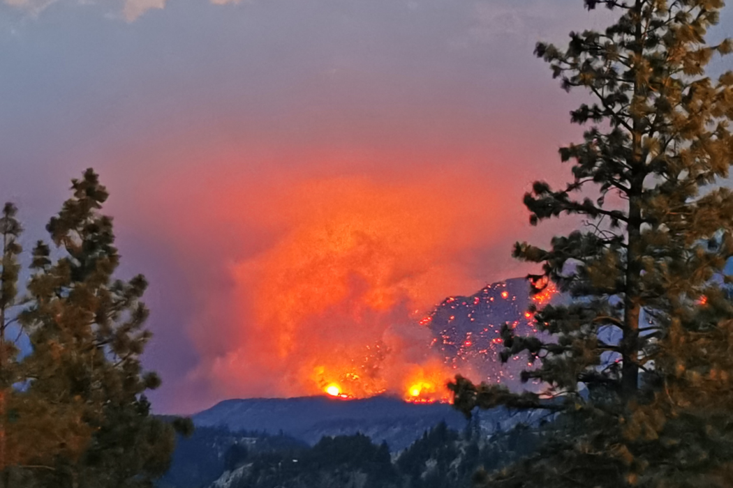 Fire in a forest.