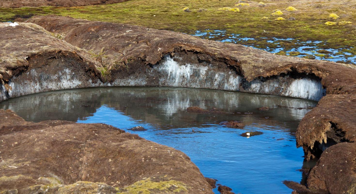 Un étang calme rempli d'eau clair.