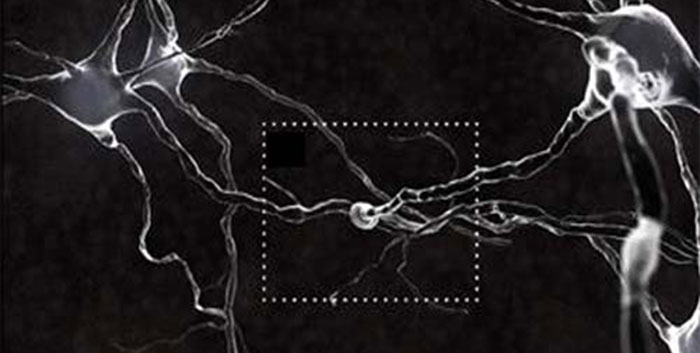 La neurotransmission chimique se produit à la synapse