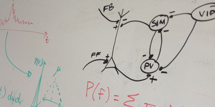 Formules et graphiques inscrits sur un tableau blanc.