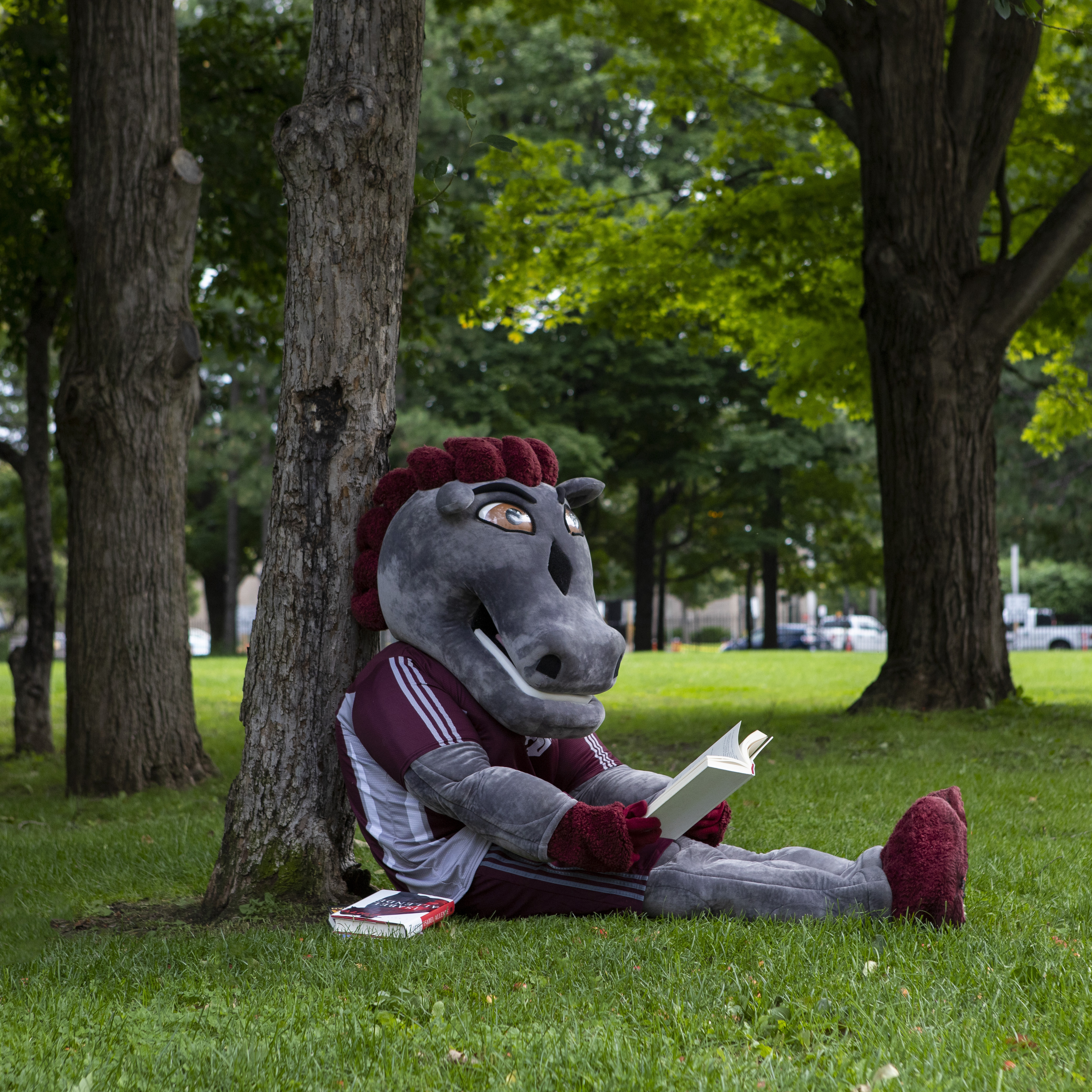 La mascotte des GEE GEES de l'université d'Ottawa assise sous un arbre