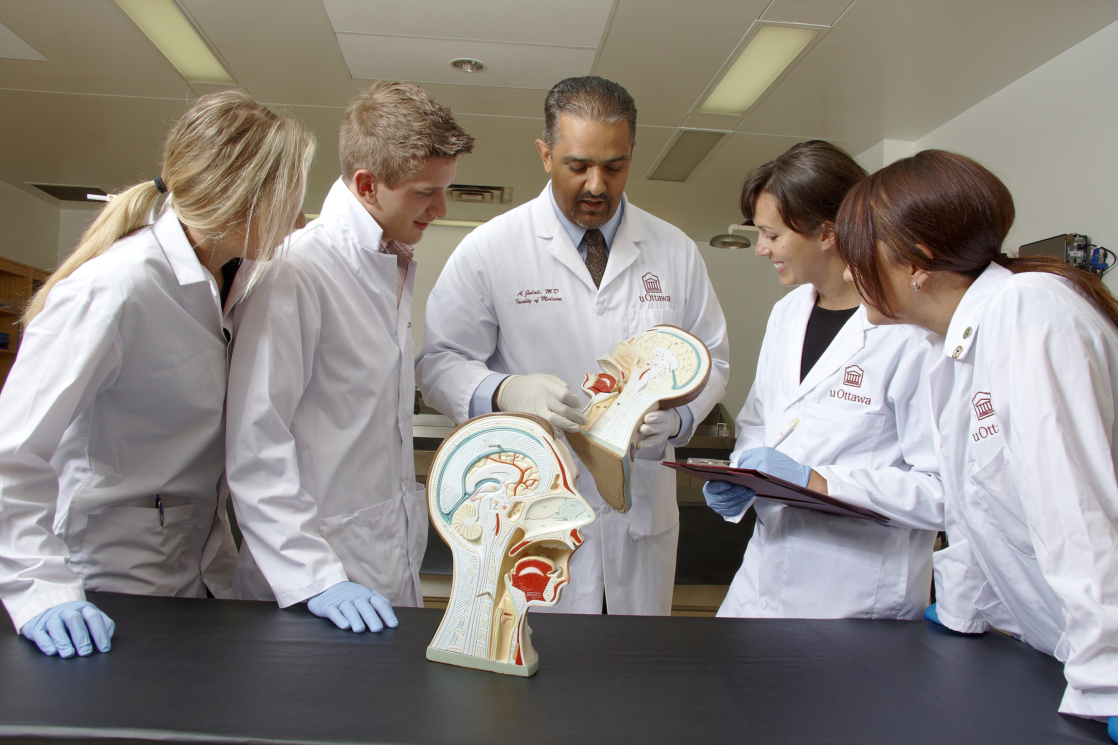 Faculté d'anatomie de laboratoire discutant entre eux