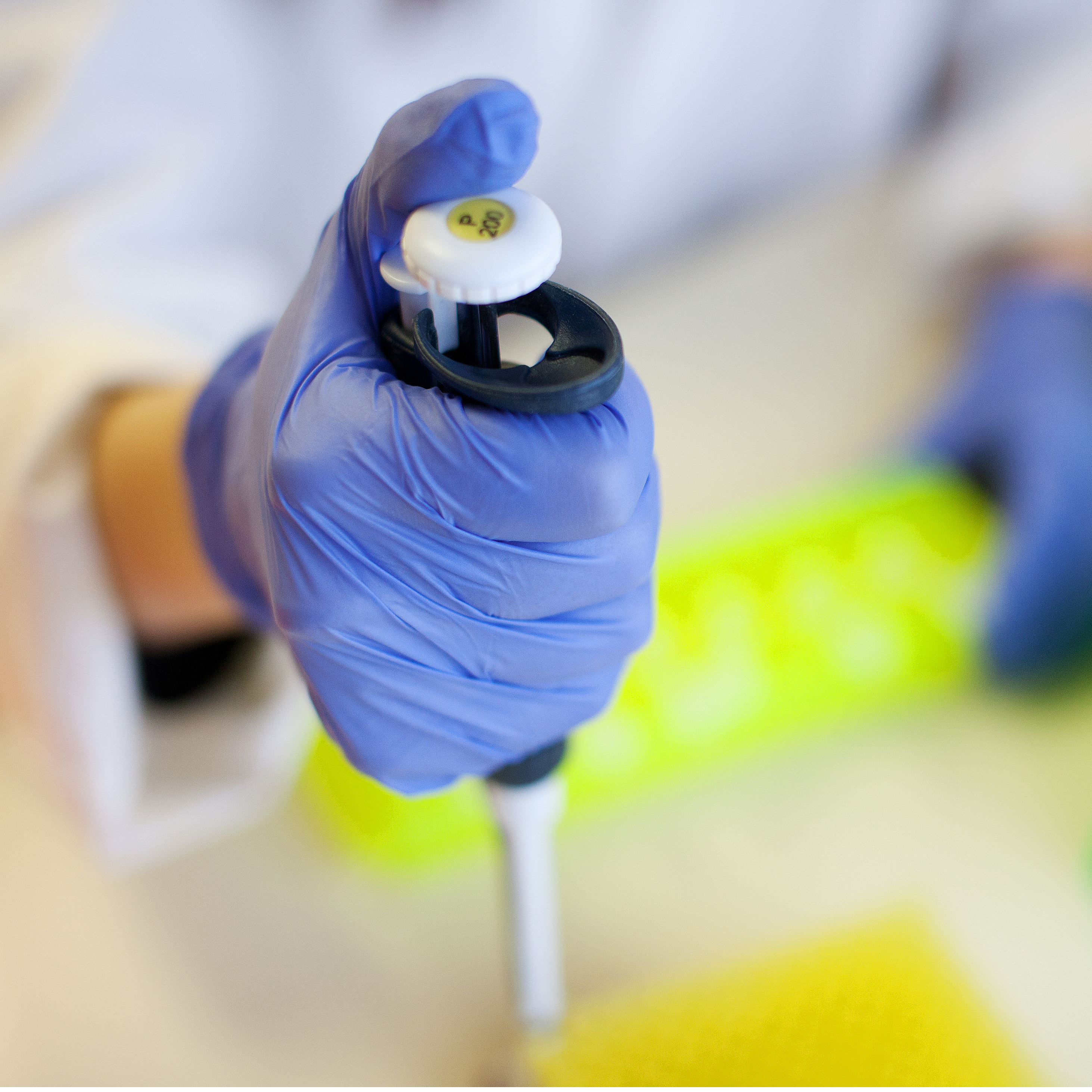 Main gantée et pipette