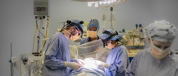 Les docteurs Bromwich et Kherani dans la salle d'opération.