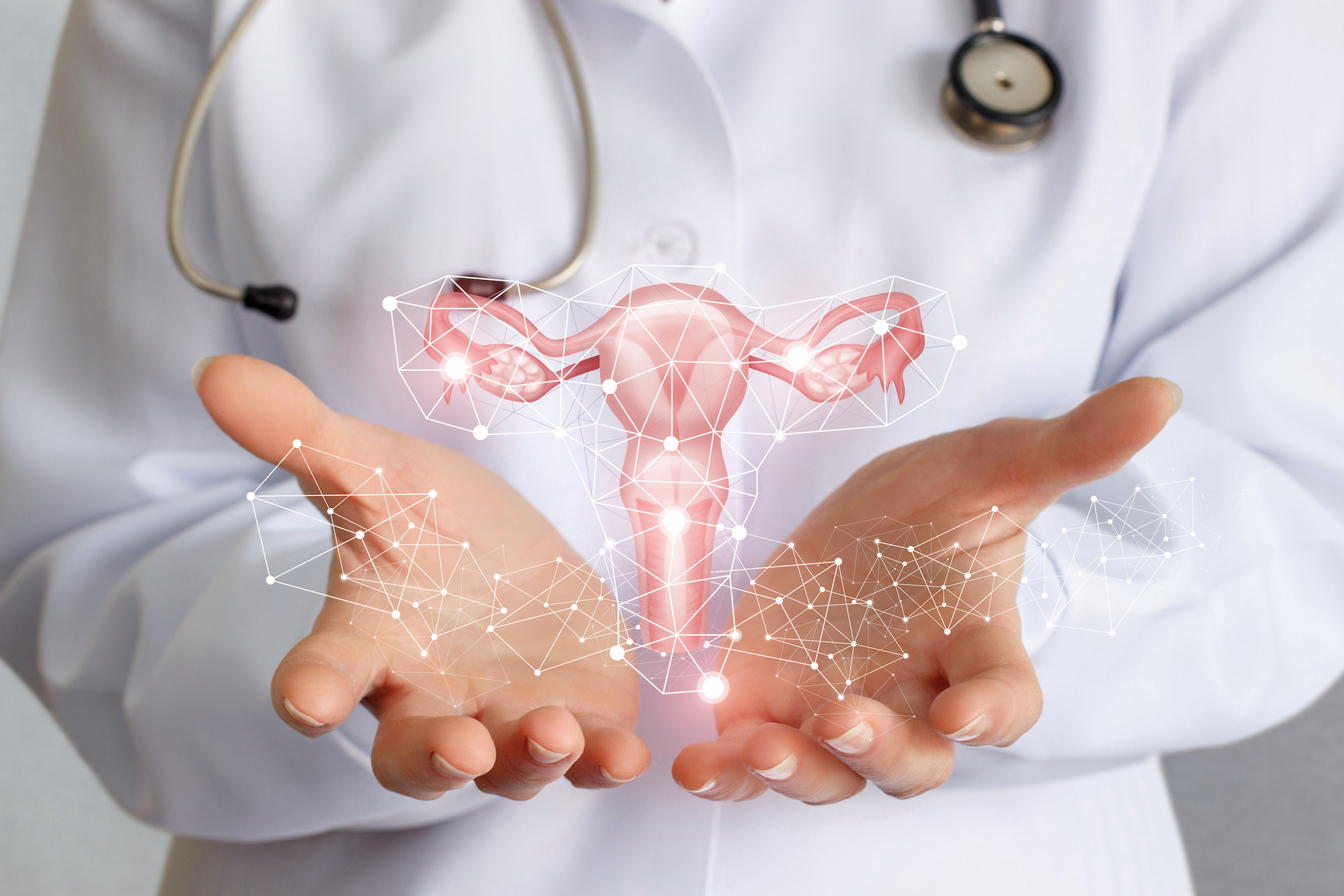 Travailleur de la médecine montre l'utérus .