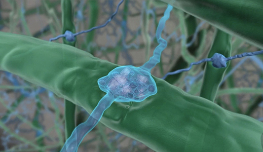 Vue microscopique d'un neurone.