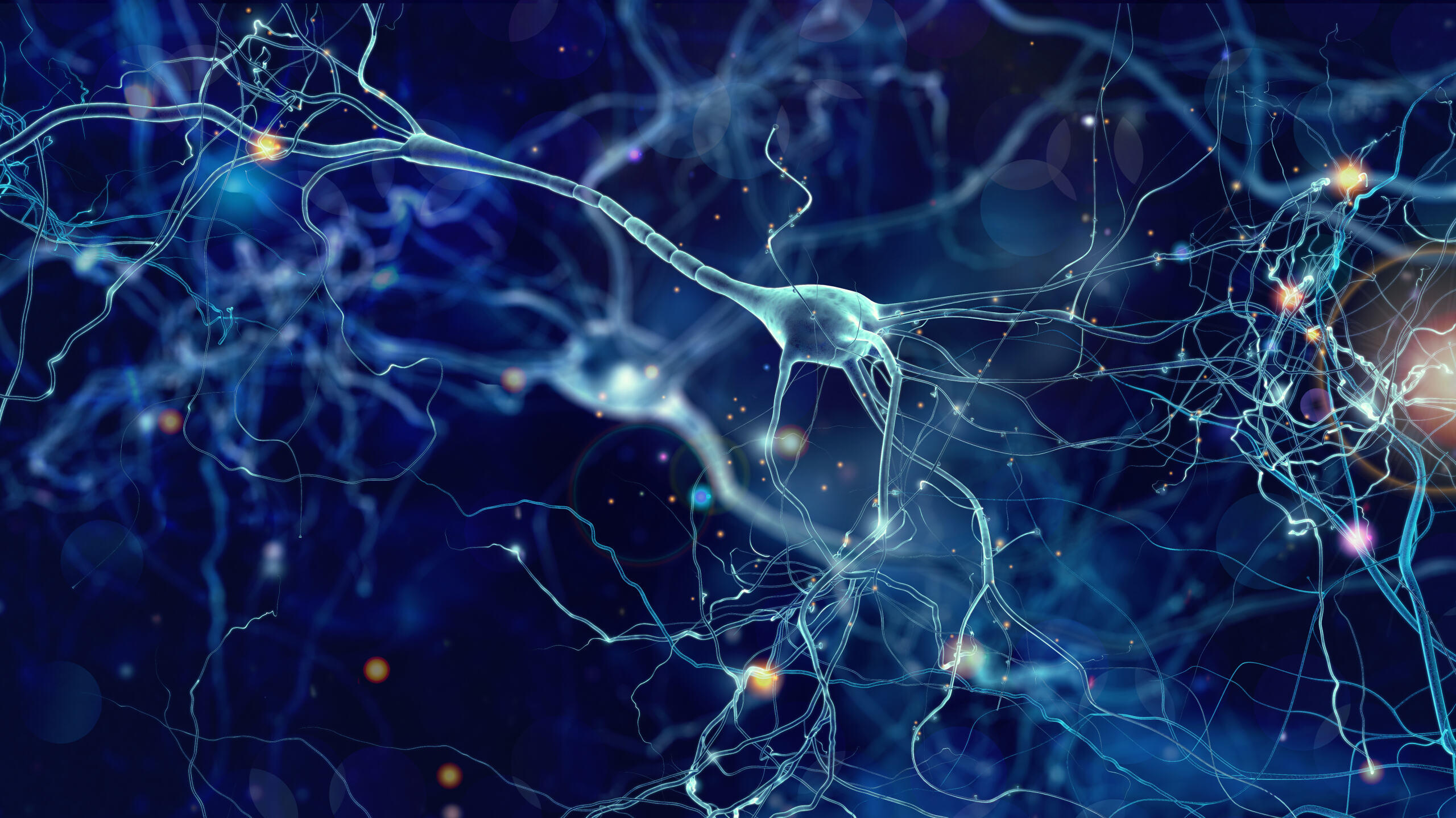 Illustration représentant des neurones cérébraux interconnectés qui s'illuminent de signaux, symbolisant les recherches menées par l'Université d'Ottawa sur le rôle caché de la sérotonine dans la prise de décision au sein du cerveau.