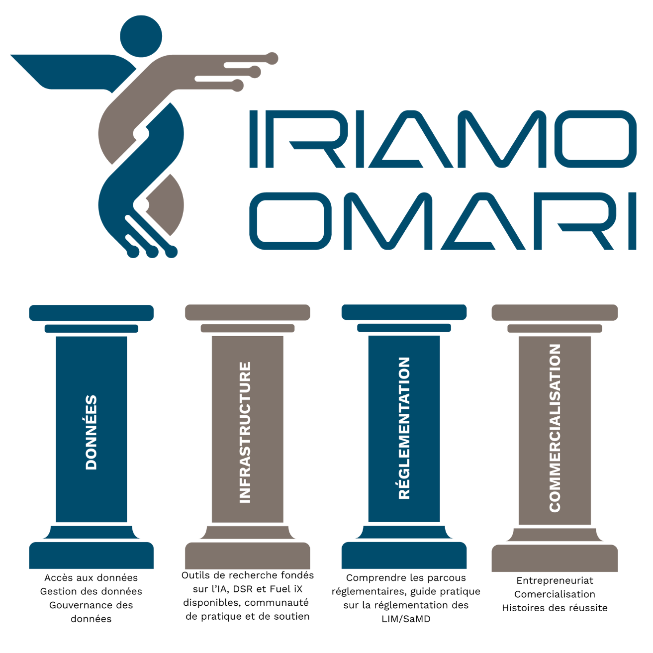 logo et pilliers de l'IRIAMO