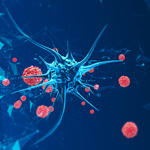 Cellule biologique en 3D