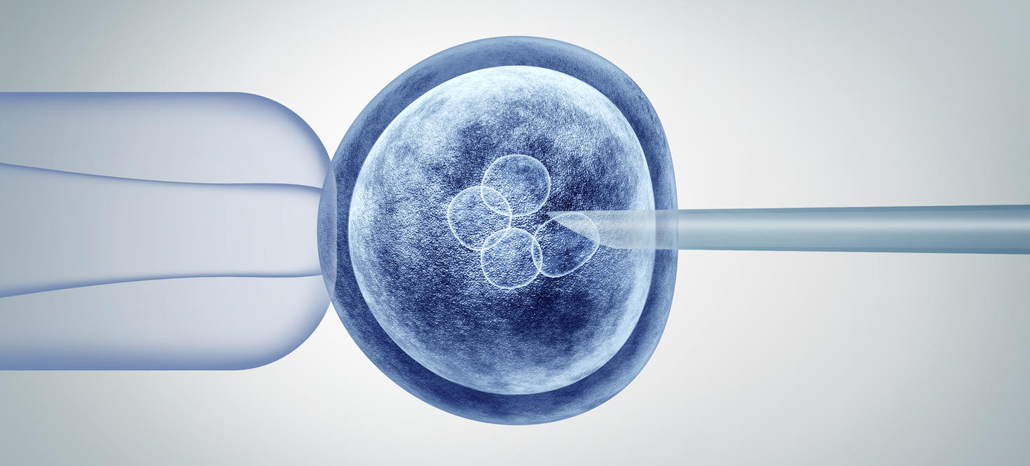 Édition génétique et recherche génétique in vitro CRISPR ingénierie du génome biotechnologie médicale concept de soins de santé avec un embryon d'œuf humain fécondé et un groupe de cellules qui se divisent comme une illustration 3D.