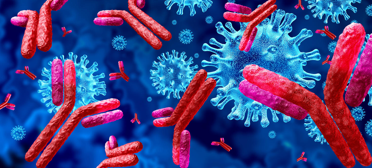 Concept d'anticorps et d'immunoglobuline en tant qu'anticorps attaquant des cellules virales et des agents pathogènes contagieux, sous forme d'illustration 3D.