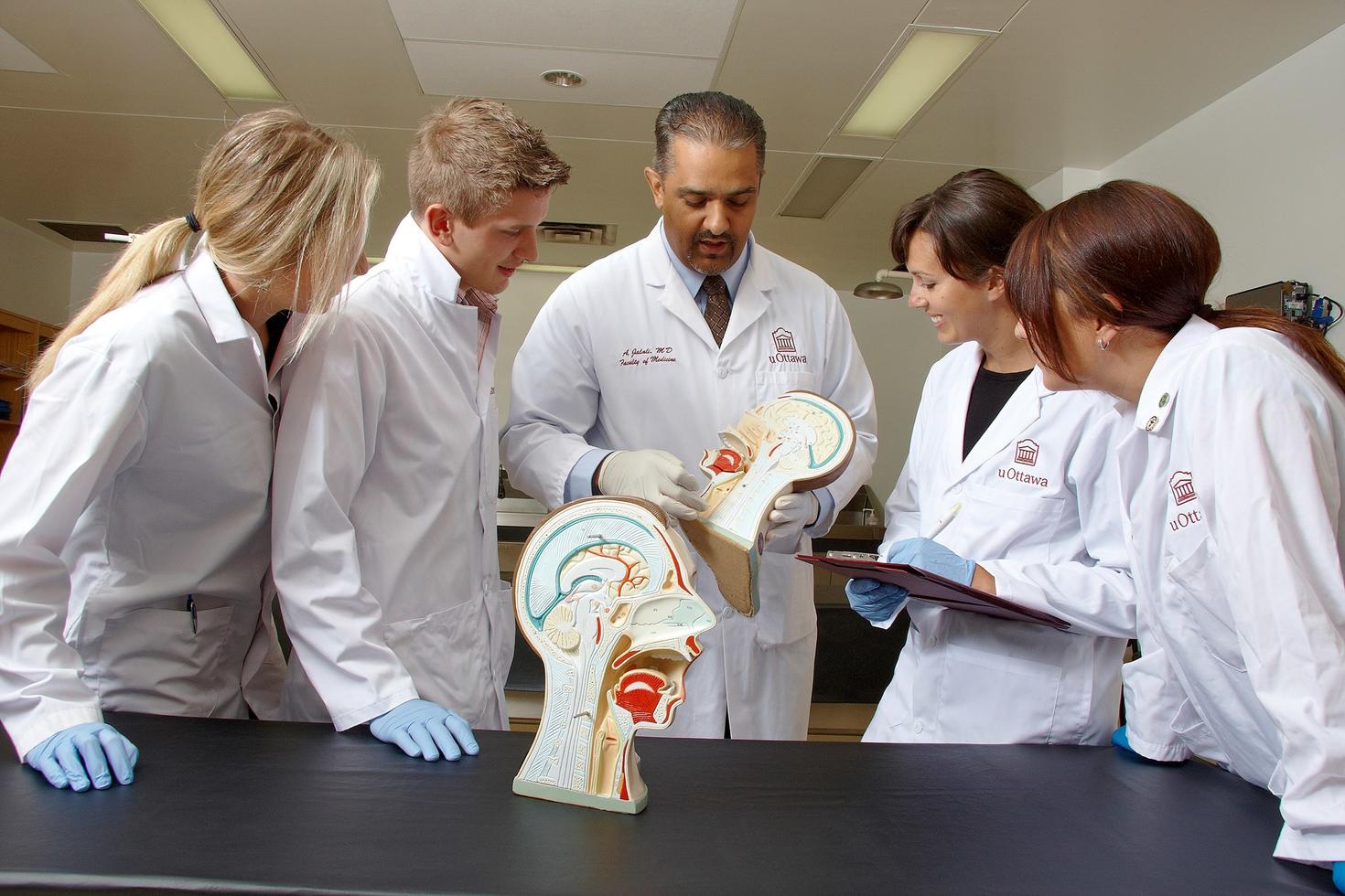 Doctor teaching medical students