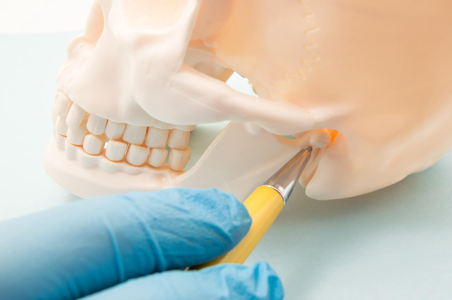 L'articulation temporo-mandibulaire (ATM, articulation de la mâchoire inférieure) et le conduit auditif. Le médecin indique que l'articulation mandibulaire ou le conduit auditif humain est à l'origine du symptôme, de la douleur ou de la maladie.