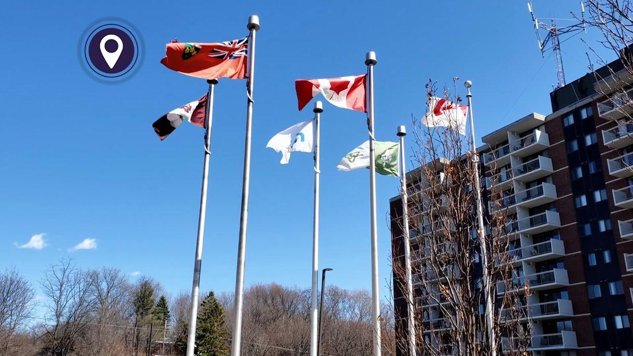 Différents drapeaux dans l'air