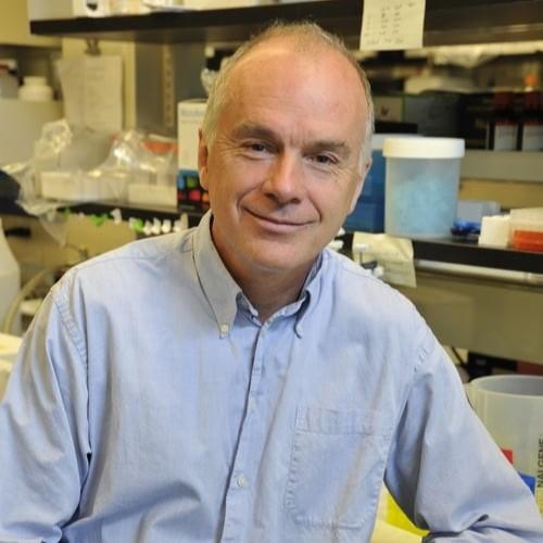 Dr Alex MacKenzie