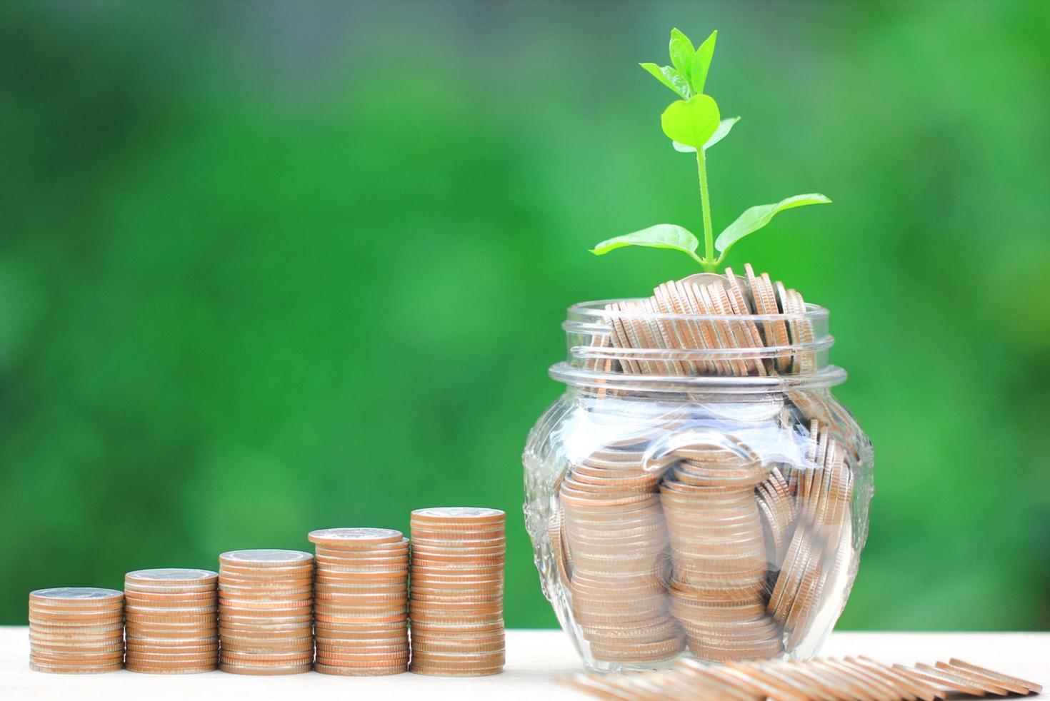 Plant and money