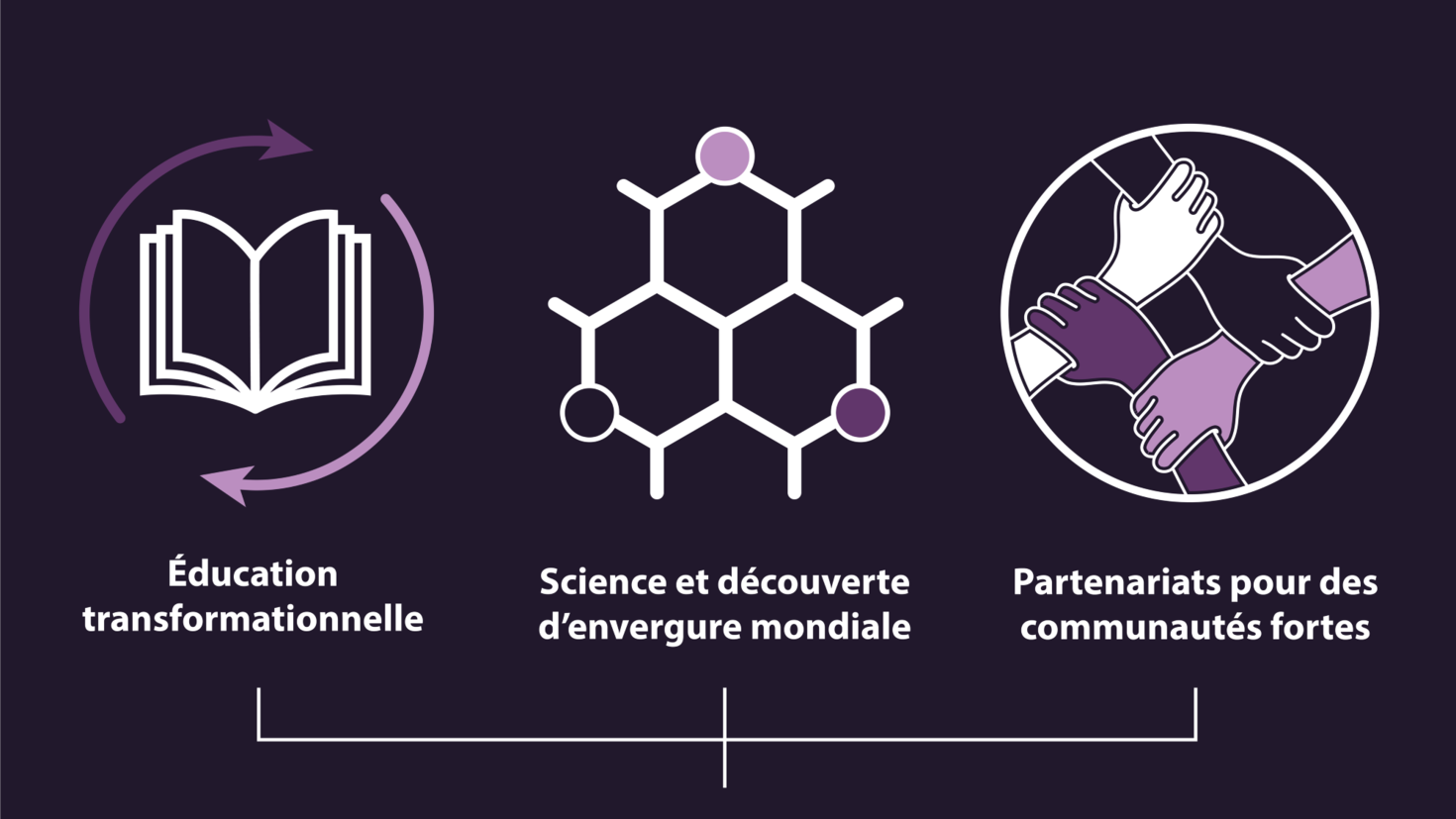 Trois plateformes stratégiques : éducation transformationnelle, science et découverte d'envergure mondiale, parternaraits pour des communautés fortes