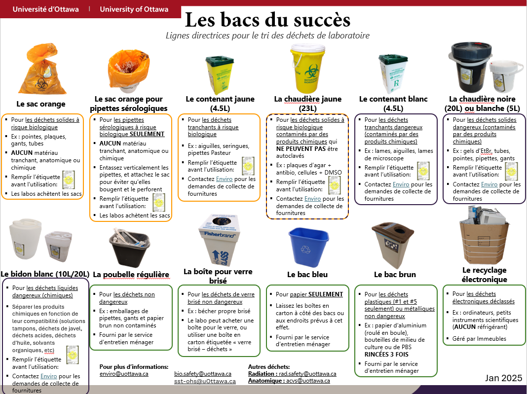 Les bacs du succès