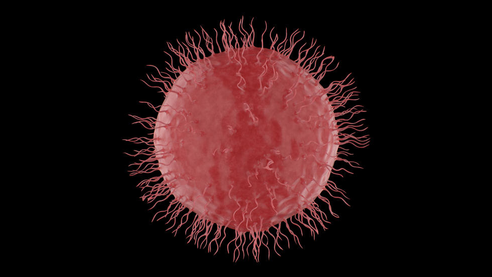 Natural Killer Cell