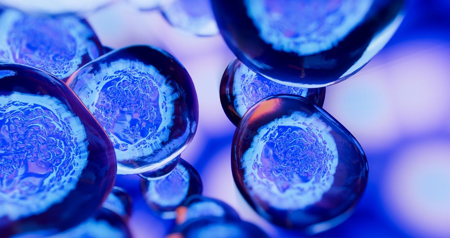 Embryonic stem cells