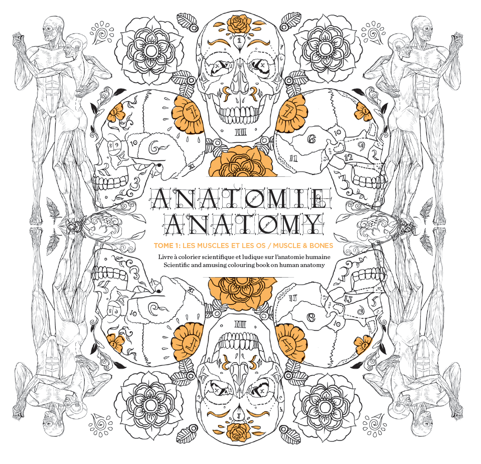 Photo du premier tome de l’anatomie à colorier, Les muscles et les os.