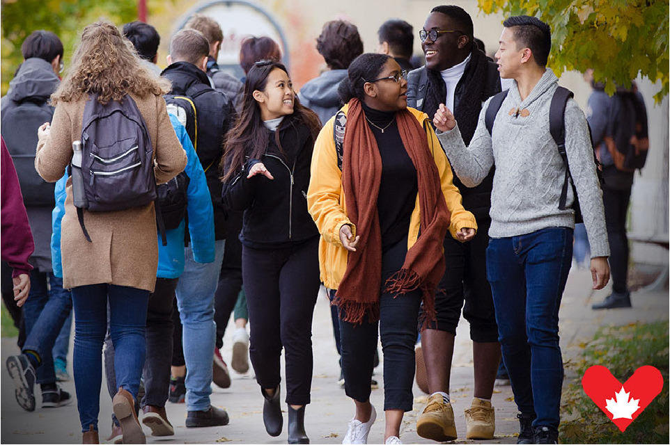 Une groupe d'étudiants universitaires souriants se promènent par une allée ombrée de verdure