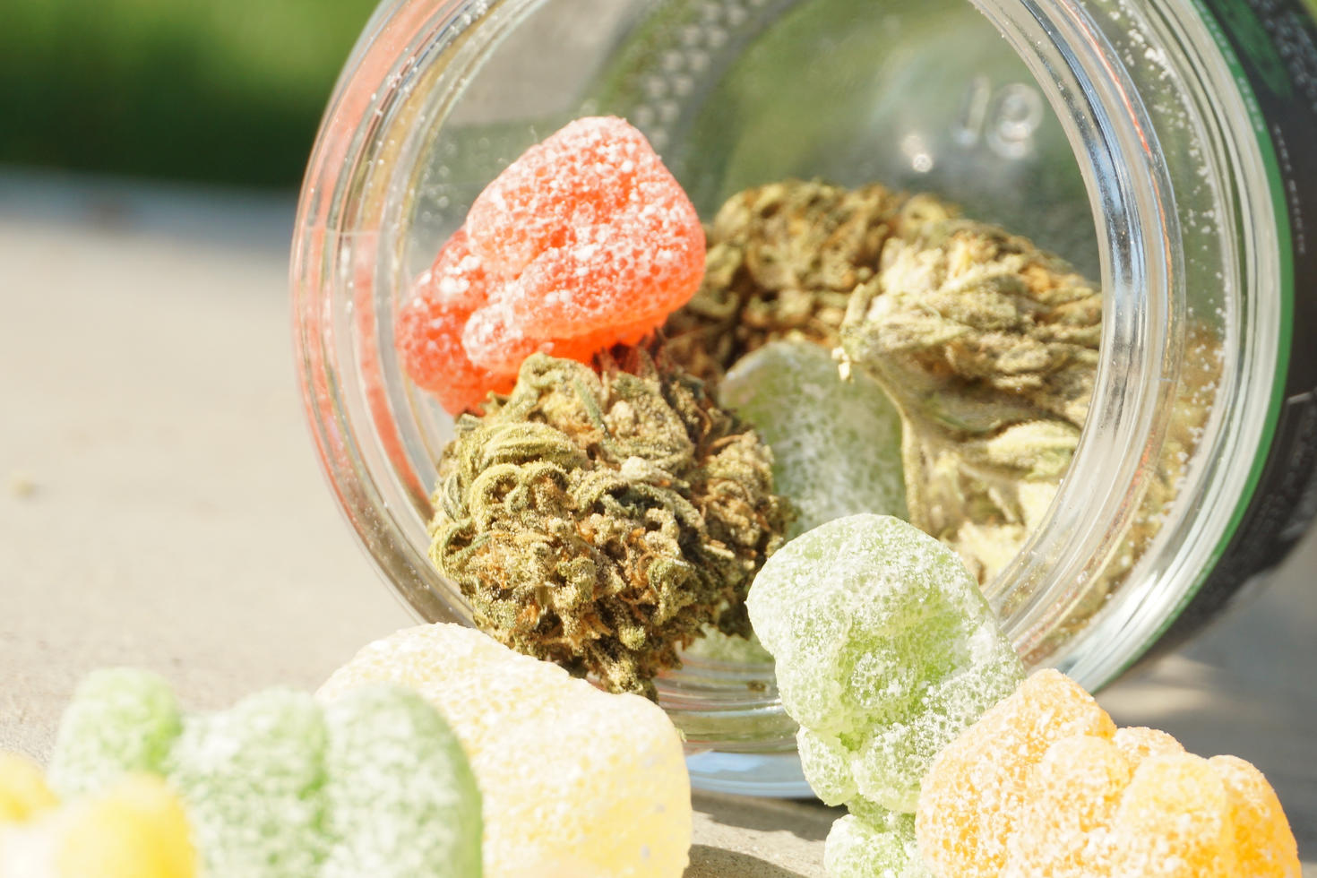 Cannabis