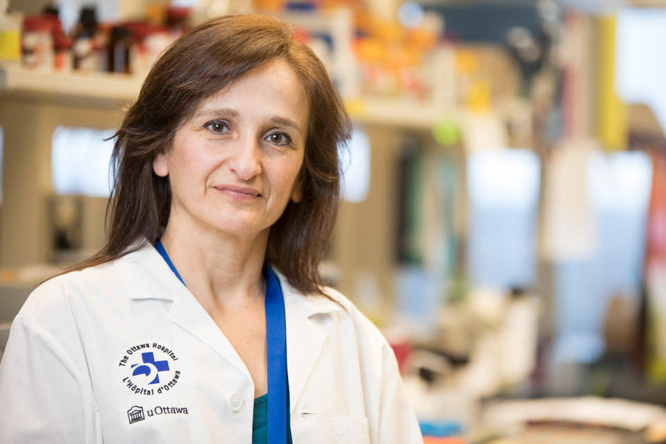 Dr. Catherine Tsilfidis