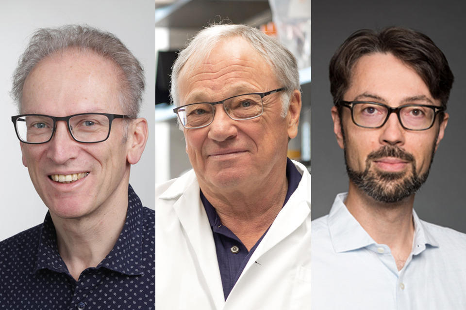 Photo de Dr. Hanns Lochmüller, Dr Robert Korneluk et Dr Damien D'Amours