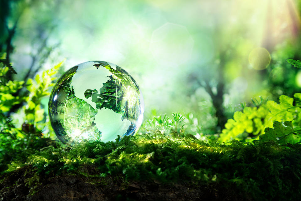 Image de la Journée de la Terre