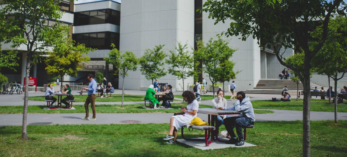 Étudiants en train de socialiser et de travailler à l'extérieur