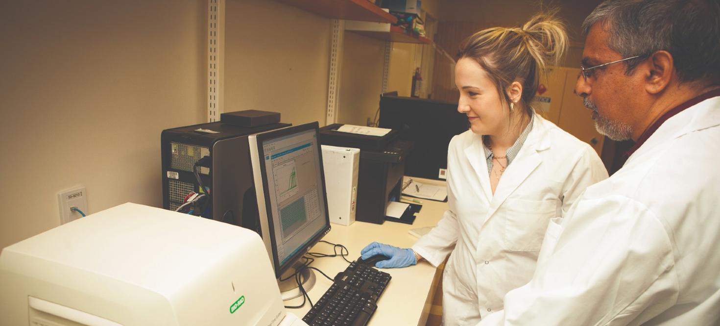 Students working on an experiment in a lab