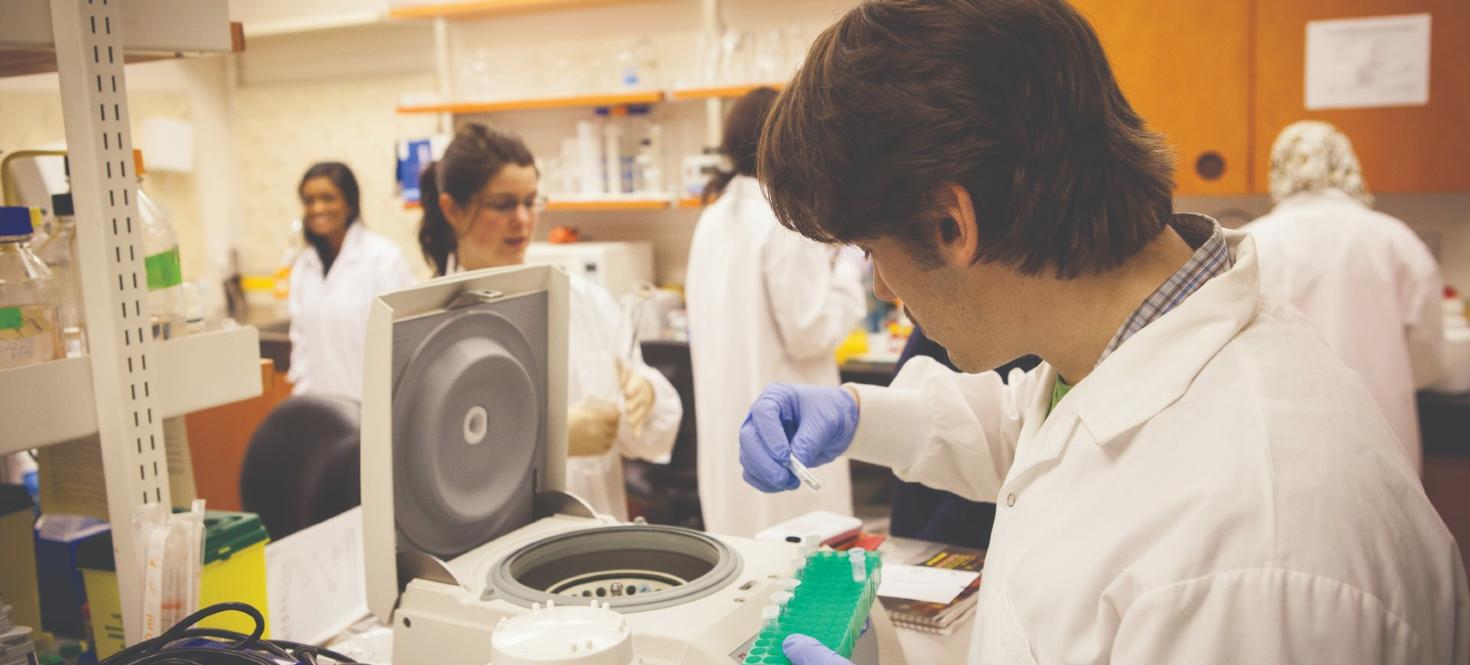 Student working in a laboratory