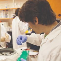 étudiants travaillant dans un laboratoire