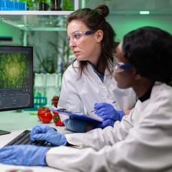 Deux chercheurs en alimentation regardant un écran