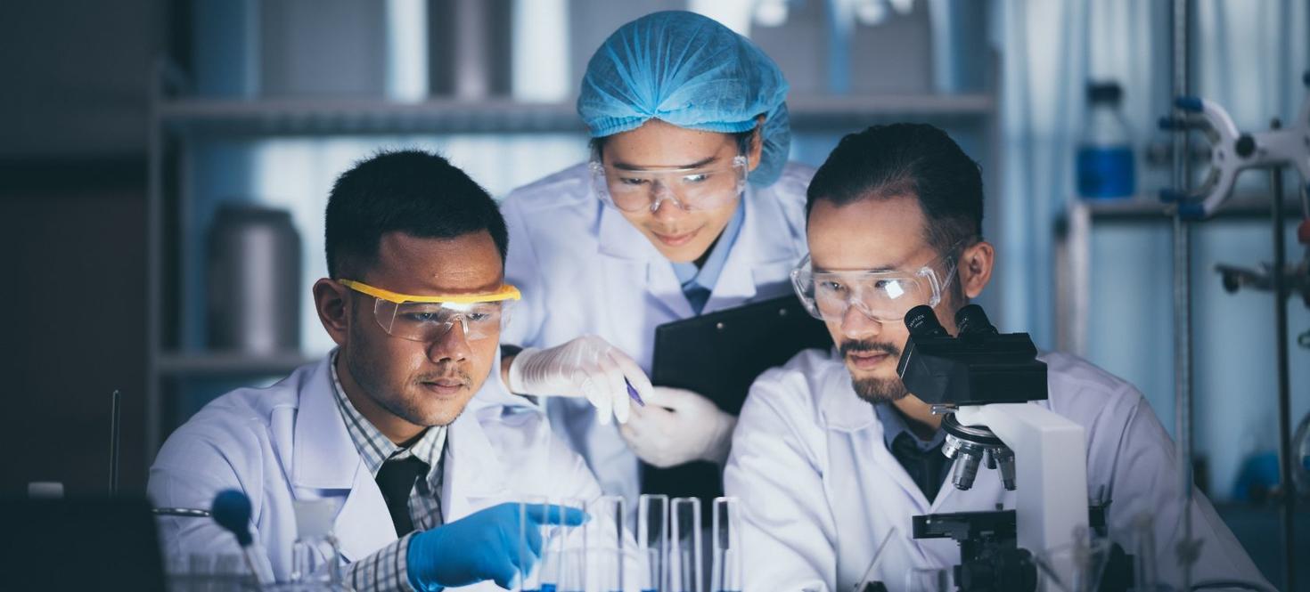 Des étudiants travaillant ensemble dans un laboratoire