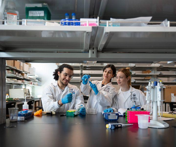 Trois étudiants mènent des expériences dans un laboratoire de biochimie