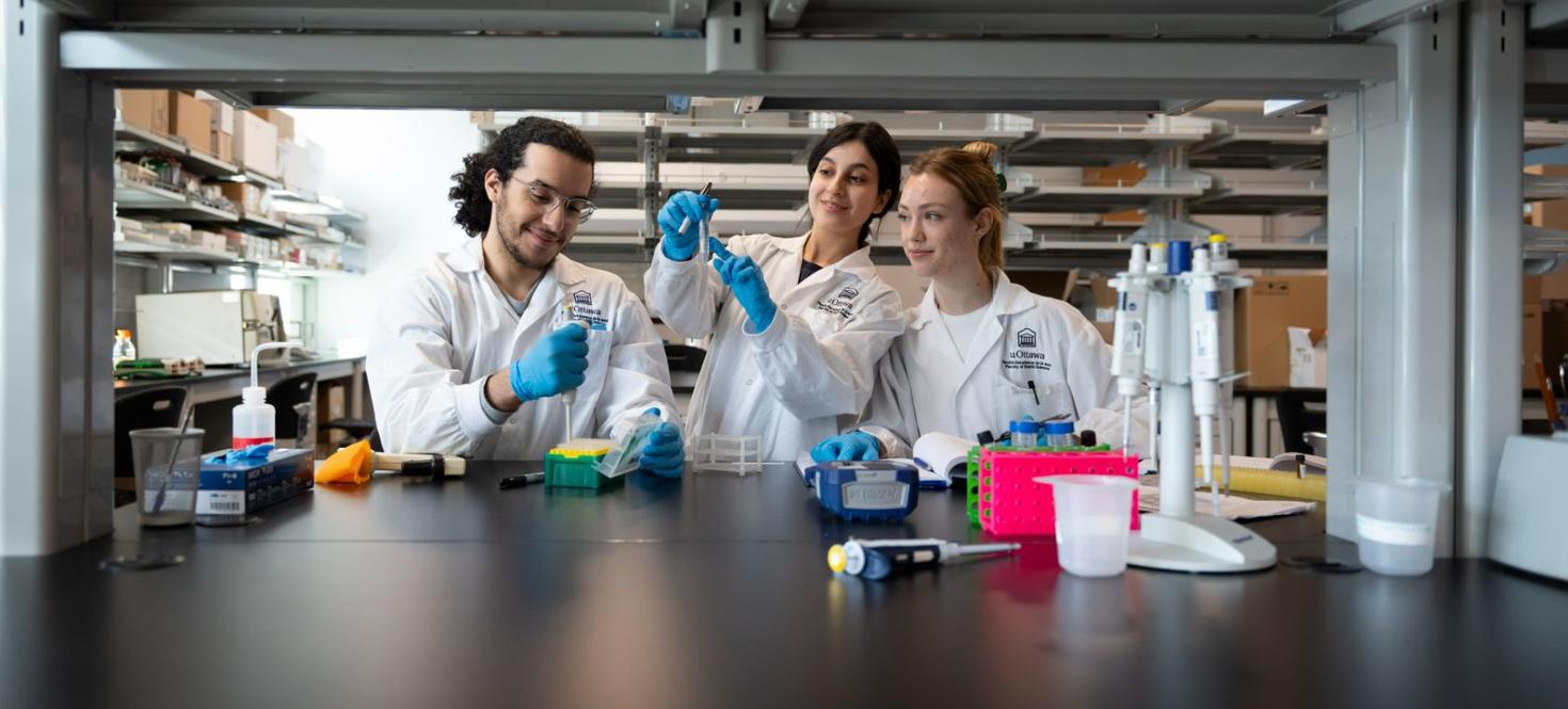 Des étudiantes et étudiant travaillant ensemble dans un laboratoire
